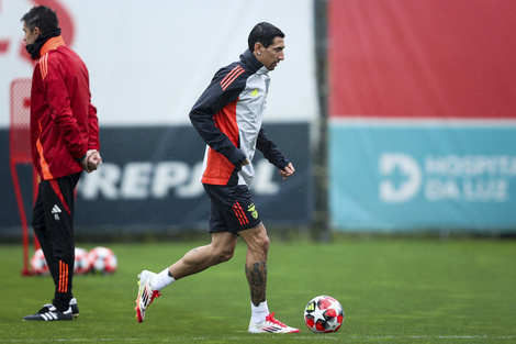 Champions League: el Benfica de Di María y Otamendi recibe a Barcelona