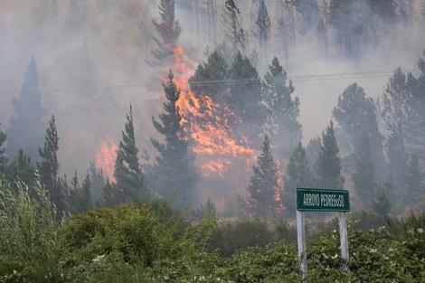 La Patagonia Andina bajo fuego