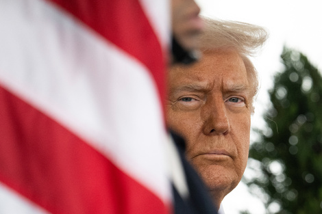 Donald Trump: "No creo que el plástico vaya a afectar mucho a los tiburones"