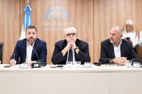 En la previa al paro general, los diputados aliados insisten con la reforma sindical