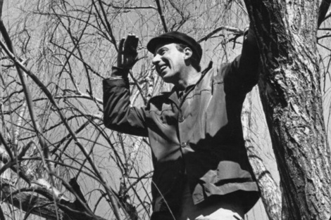 Mayo, un mes para celebrar el legado y la obra de Haroldo Conti 