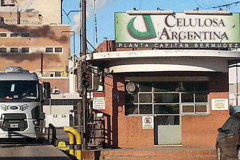 Celulosa abastece a la industria y al consumo final.  (Fuente: Archivo)